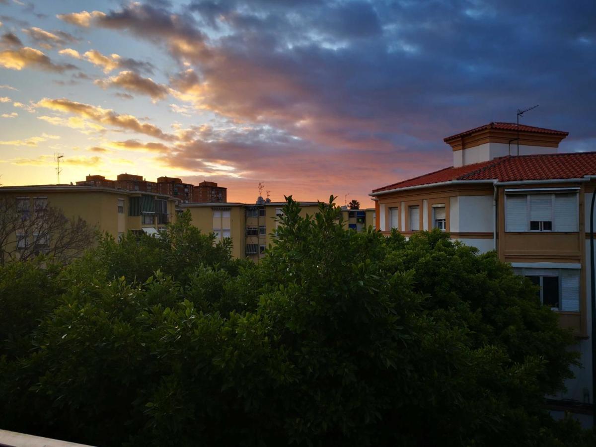 Sunnyspainholidays Apartments مالقة المظهر الخارجي الصورة